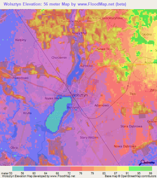Wolsztyn,Poland Elevation Map