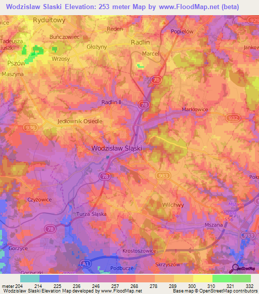 Wodzislaw Slaski,Poland Elevation Map