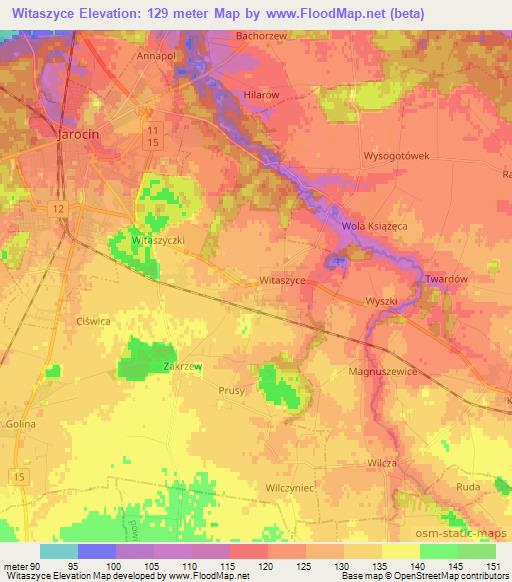 Witaszyce,Poland Elevation Map