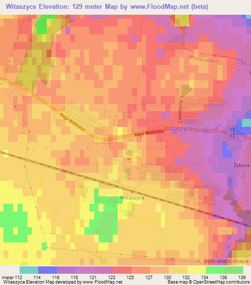 Witaszyce,Poland Elevation Map