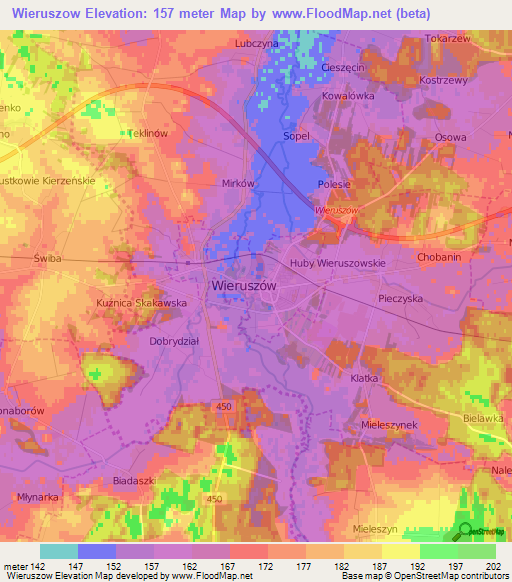 Wieruszow,Poland Elevation Map