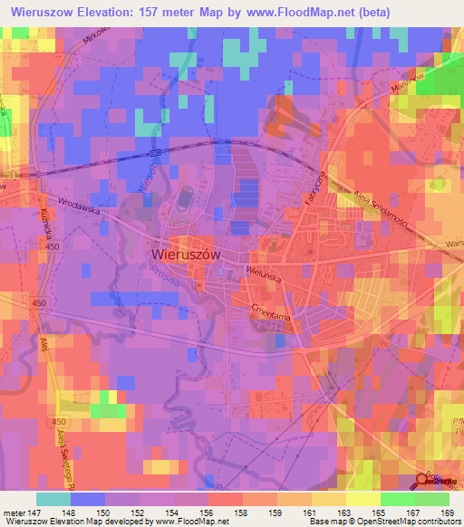 Wieruszow,Poland Elevation Map