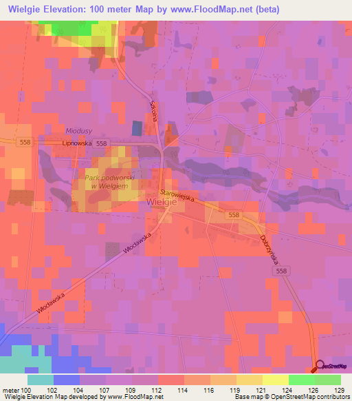 Wielgie,Poland Elevation Map