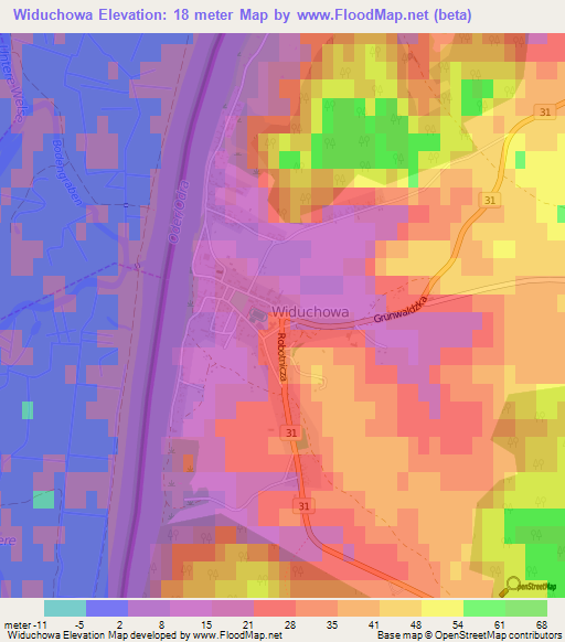 Widuchowa,Poland Elevation Map