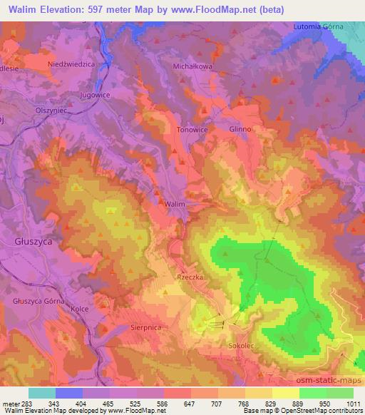Walim,Poland Elevation Map