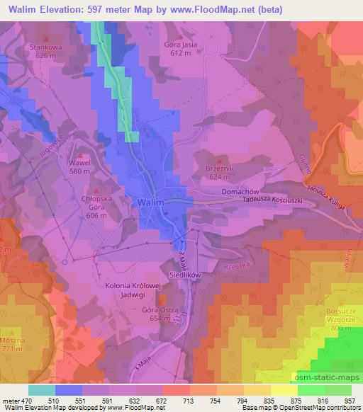 Walim,Poland Elevation Map