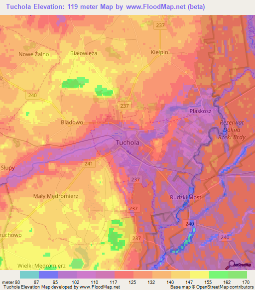 Tuchola,Poland Elevation Map
