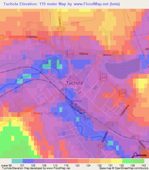 Tuchola,Poland Elevation Map