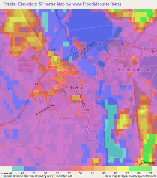 Trzciel,Poland Elevation Map