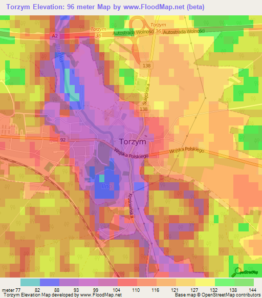Torzym,Poland Elevation Map