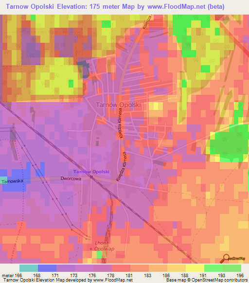 Tarnow Opolski,Poland Elevation Map