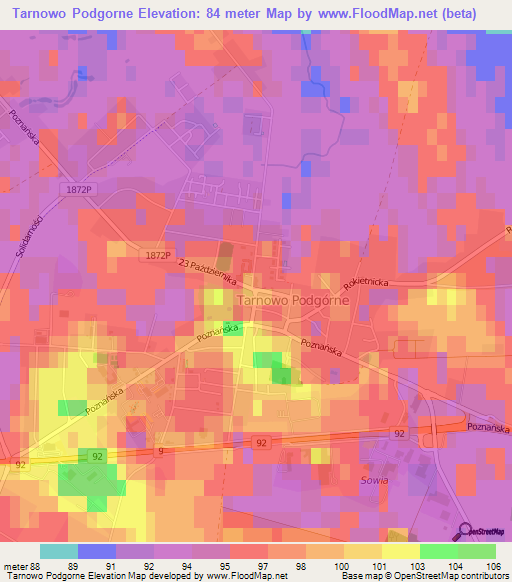 Tarnowo Podgorne,Poland Elevation Map