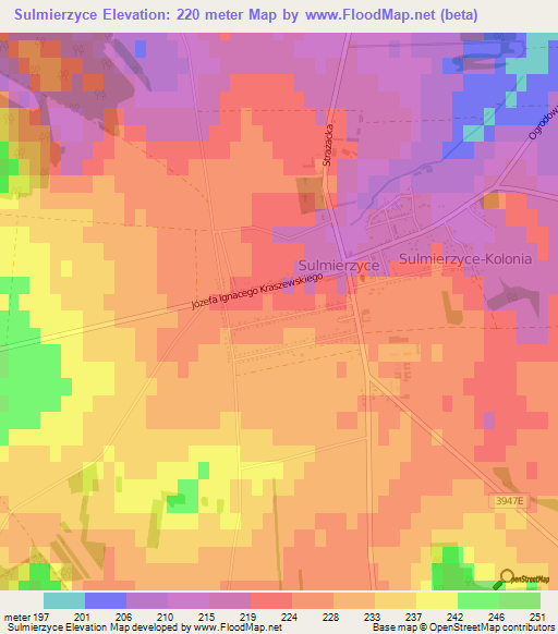 Sulmierzyce,Poland Elevation Map