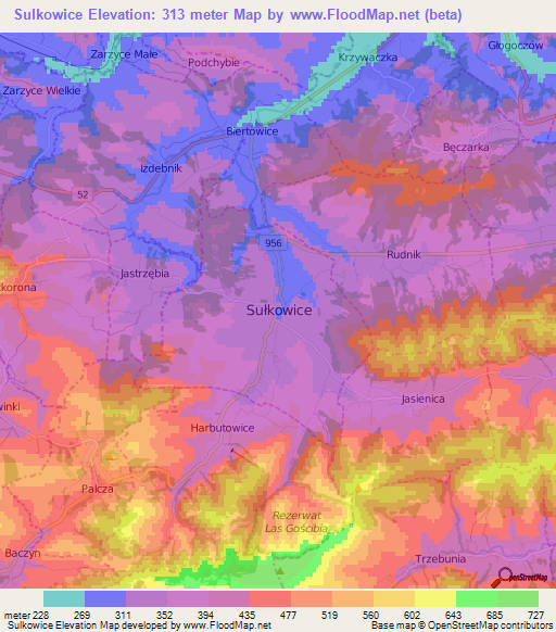 Sulkowice,Poland Elevation Map