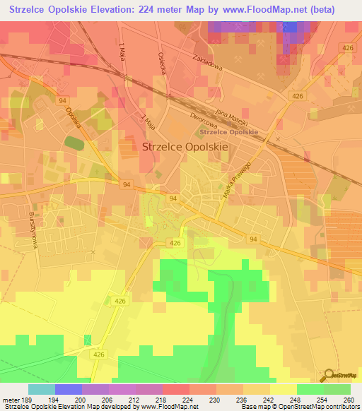 Strzelce Opolskie,Poland Elevation Map