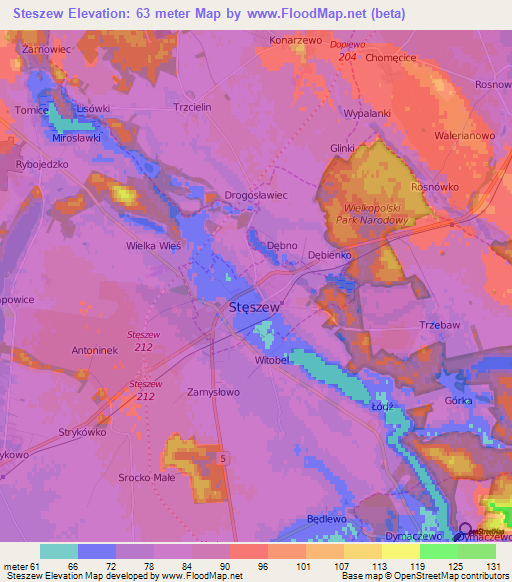 Steszew,Poland Elevation Map