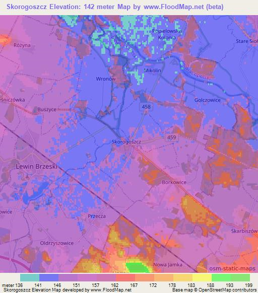 Skorogoszcz,Poland Elevation Map