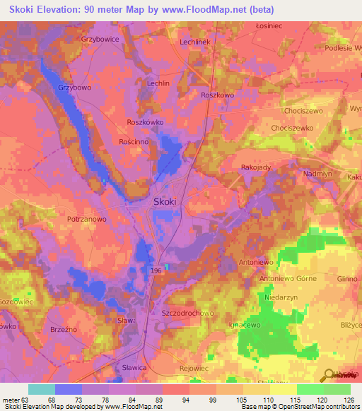 Skoki,Poland Elevation Map