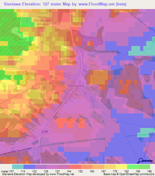 Sieniawa,Poland Elevation Map