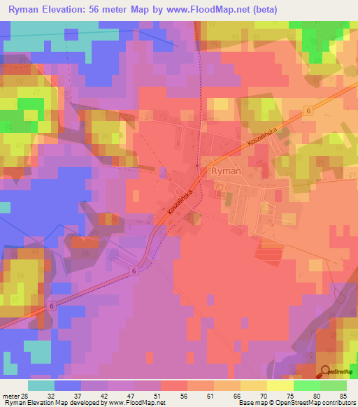Ryman,Poland Elevation Map