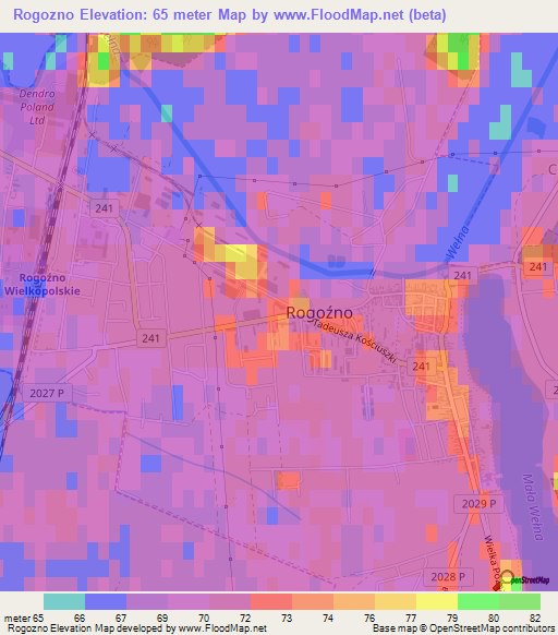 Rogozno,Poland Elevation Map