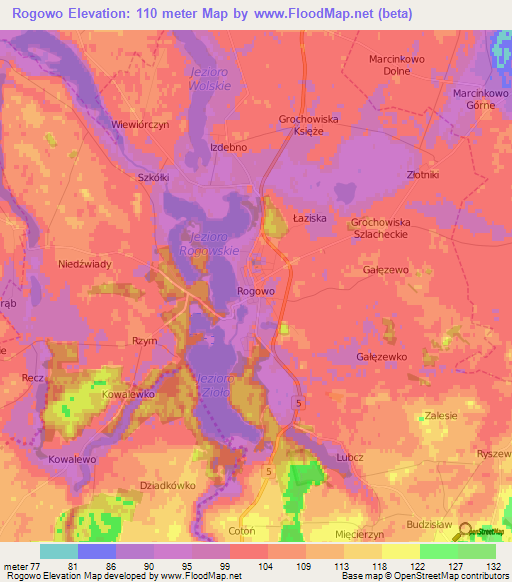 Rogowo,Poland Elevation Map