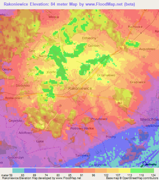 Rakoniewice,Poland Elevation Map