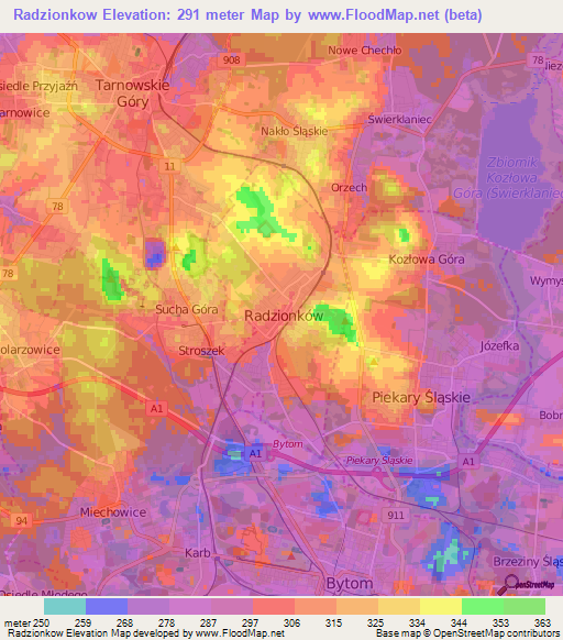 Radzionkow,Poland Elevation Map