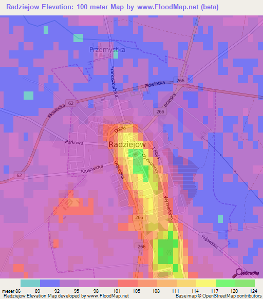 Radziejow,Poland Elevation Map
