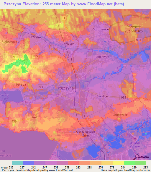 Pszczyna,Poland Elevation Map