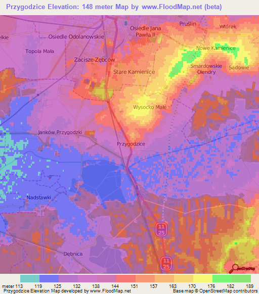 Przygodzice,Poland Elevation Map