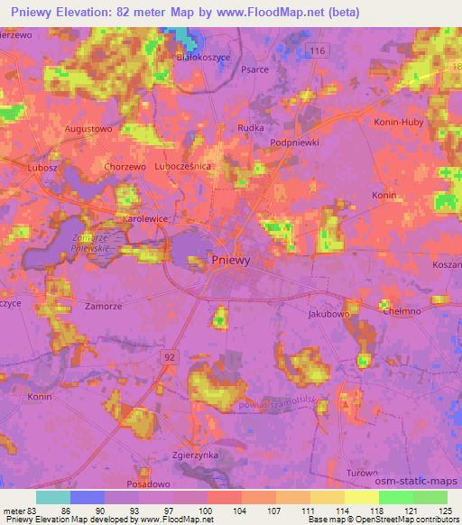 Pniewy,Poland Elevation Map