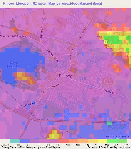 Pniewy,Poland Elevation Map