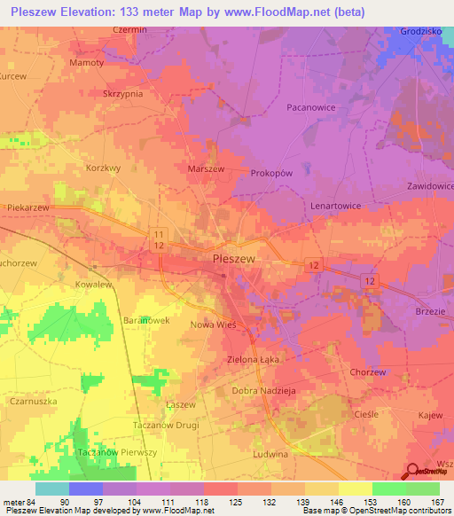 Pleszew,Poland Elevation Map