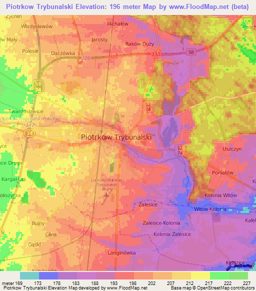 Piotrkow Trybunalski,Poland Elevation Map