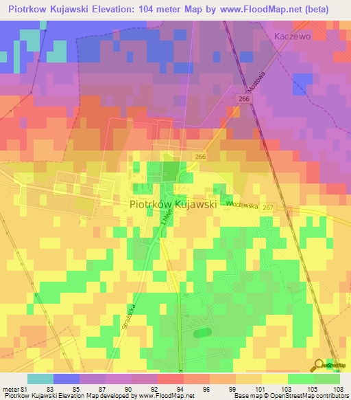 Piotrkow Kujawski,Poland Elevation Map
