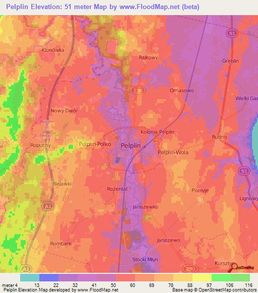 Pelplin,Poland Elevation Map