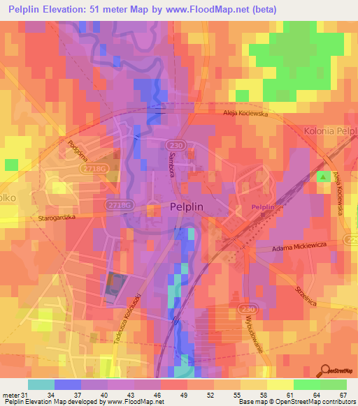 Pelplin,Poland Elevation Map