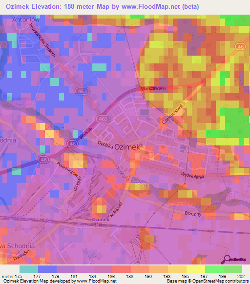 Ozimek,Poland Elevation Map