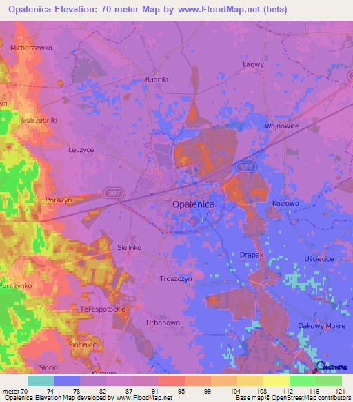 Opalenica,Poland Elevation Map