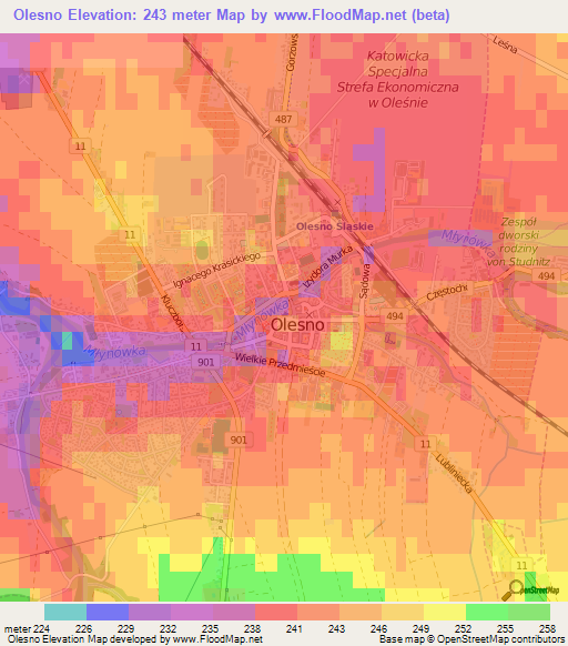 Olesno,Poland Elevation Map