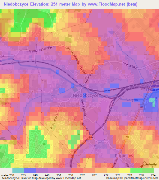 Niedobczyce,Poland Elevation Map