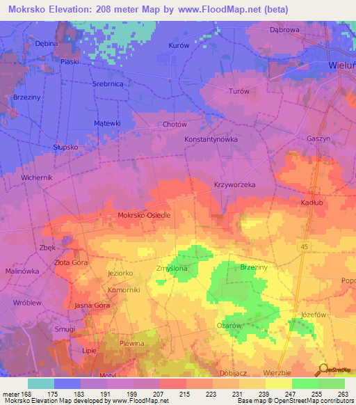 Mokrsko,Poland Elevation Map