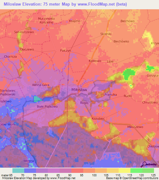 Miloslaw,Poland Elevation Map