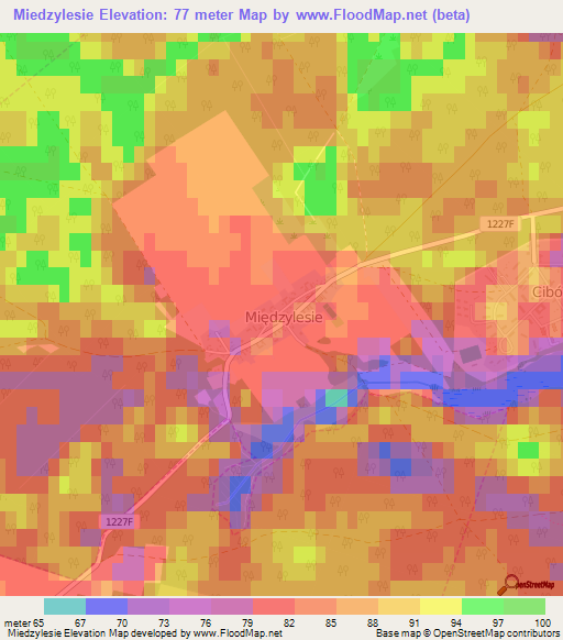 Miedzylesie,Poland Elevation Map