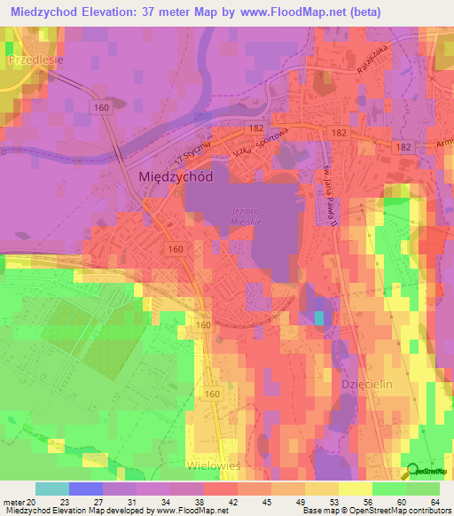 Miedzychod,Poland Elevation Map