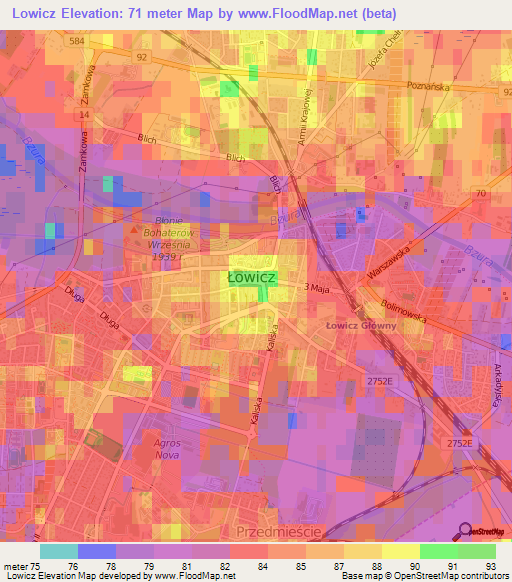 Lowicz,Poland Elevation Map