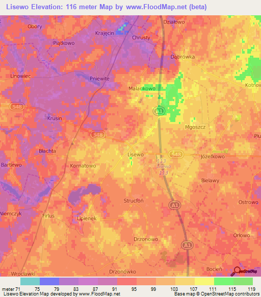 Lisewo,Poland Elevation Map