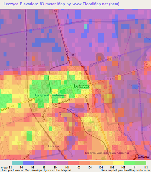 Leczyca,Poland Elevation Map