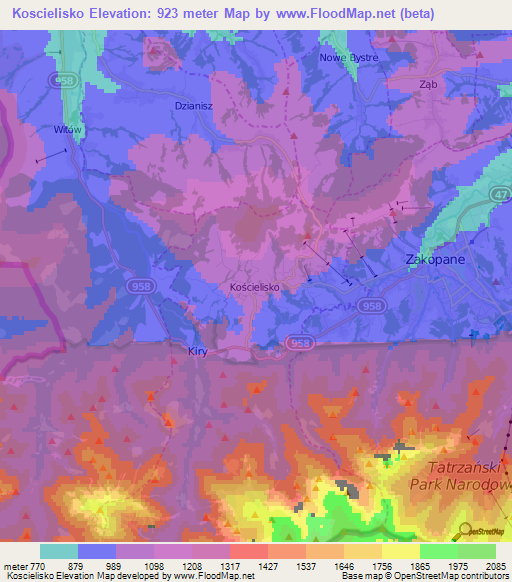 Koscielisko,Poland Elevation Map